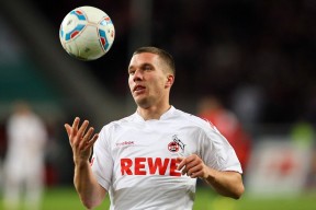 九游平台官网-荷兰马术协会建立马术运动伤害预防中心，保障运动员安全。，荷兰 马术