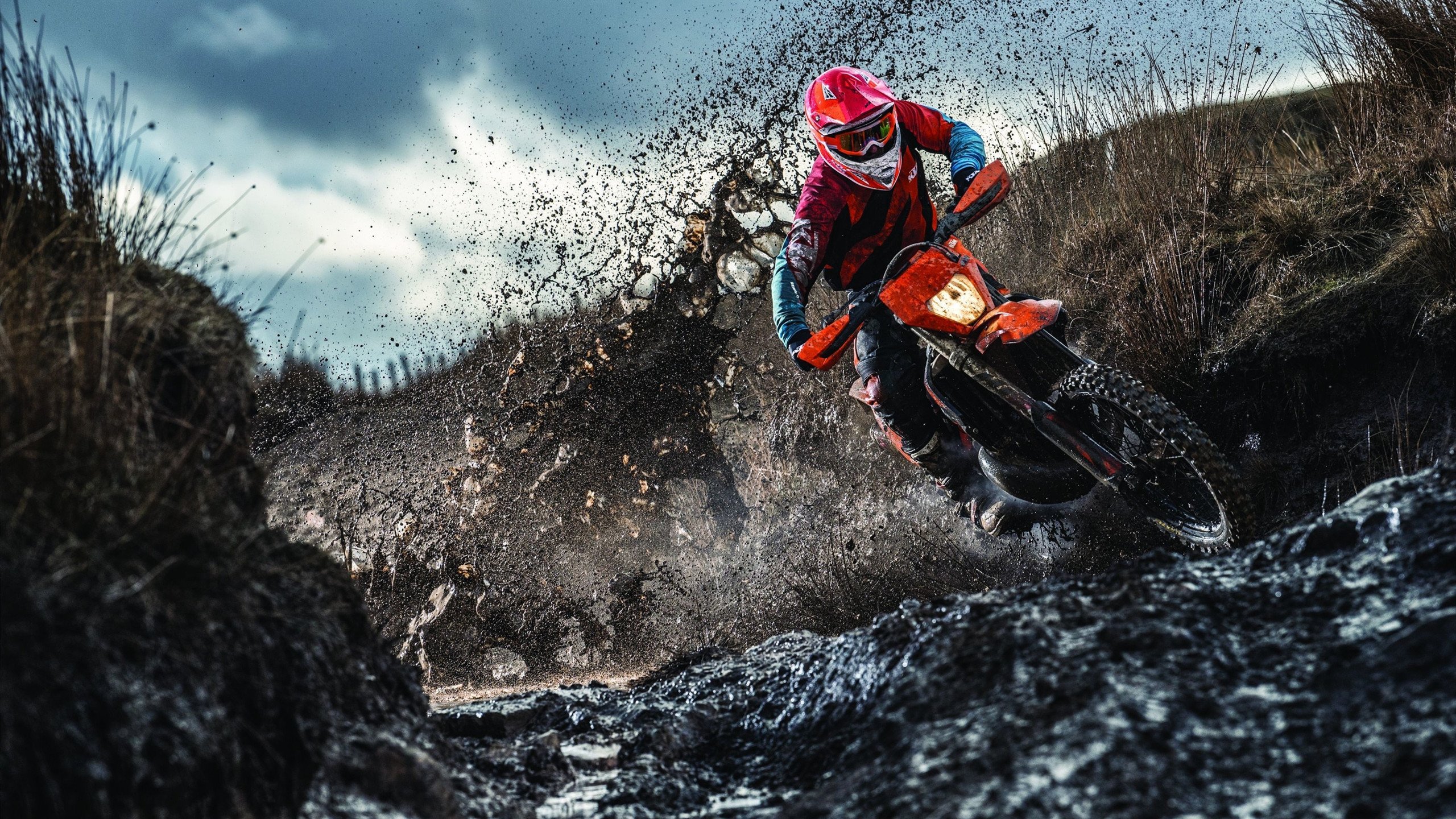 青少年“梦想成长路”在辽宁开启,助推青训体系升级,辽宁青少年素质训练